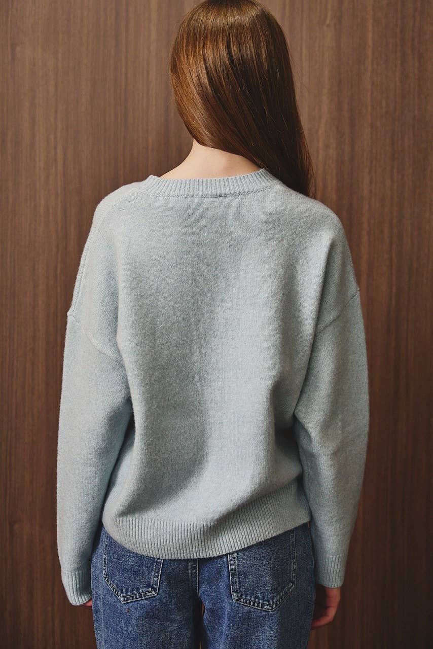 Running Wild Horse Sweater