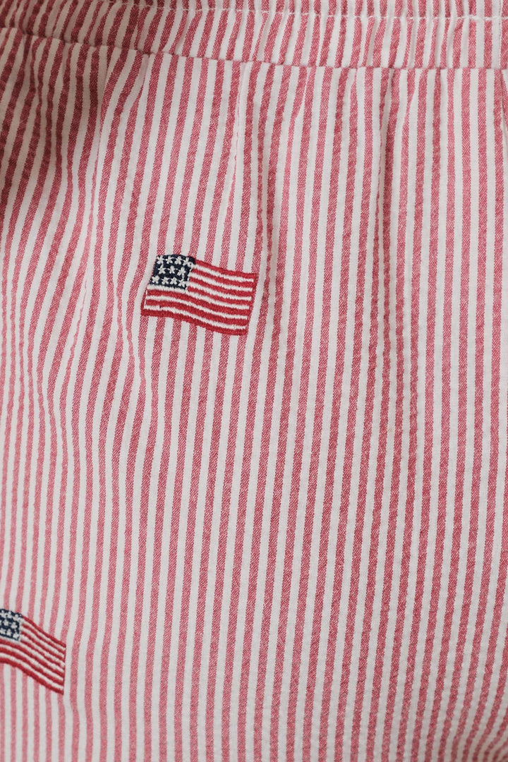 Stars &amp; Stripes Seersucker Shorts✨